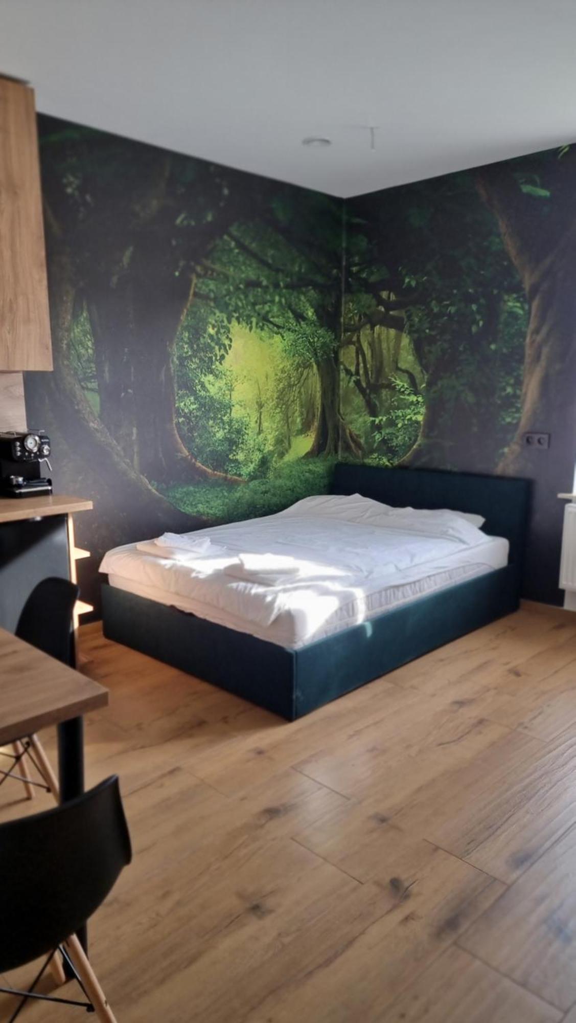 Z Opcja Jacuzzi Apartmán Katovice